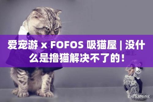爱宠游 x FOFOS 吸猫屋 | 没什么是撸猫解决不了的！