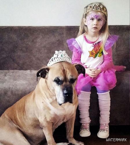 6岁女孩Lynn陪伴爱犬的最后20天，“谢谢你出现在我的生命里”