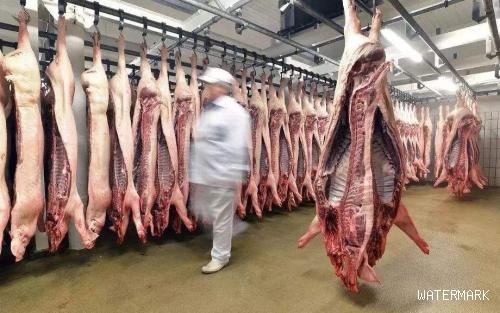 猪价、肉价调整预警：5月27日猪价冲高遇阻，猪肉价格“跳水”