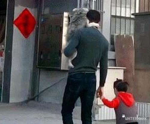 男子肩上背着宠物狗狗，手上却牵着女儿，网友：不理解但莫名暖心