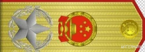 1955年毛主席辞授大元帅衔，3等10级军衔对应的军职、肩章图解